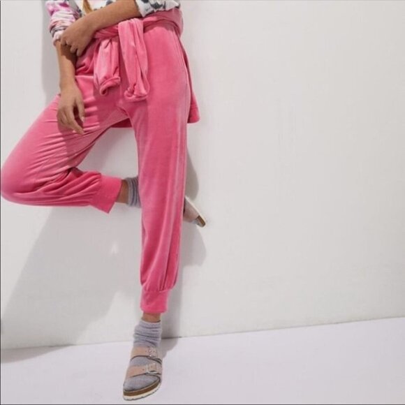 ANTHROPOLOGIE Merida Velvet Drawstring Joggers - Picture 1 of 12